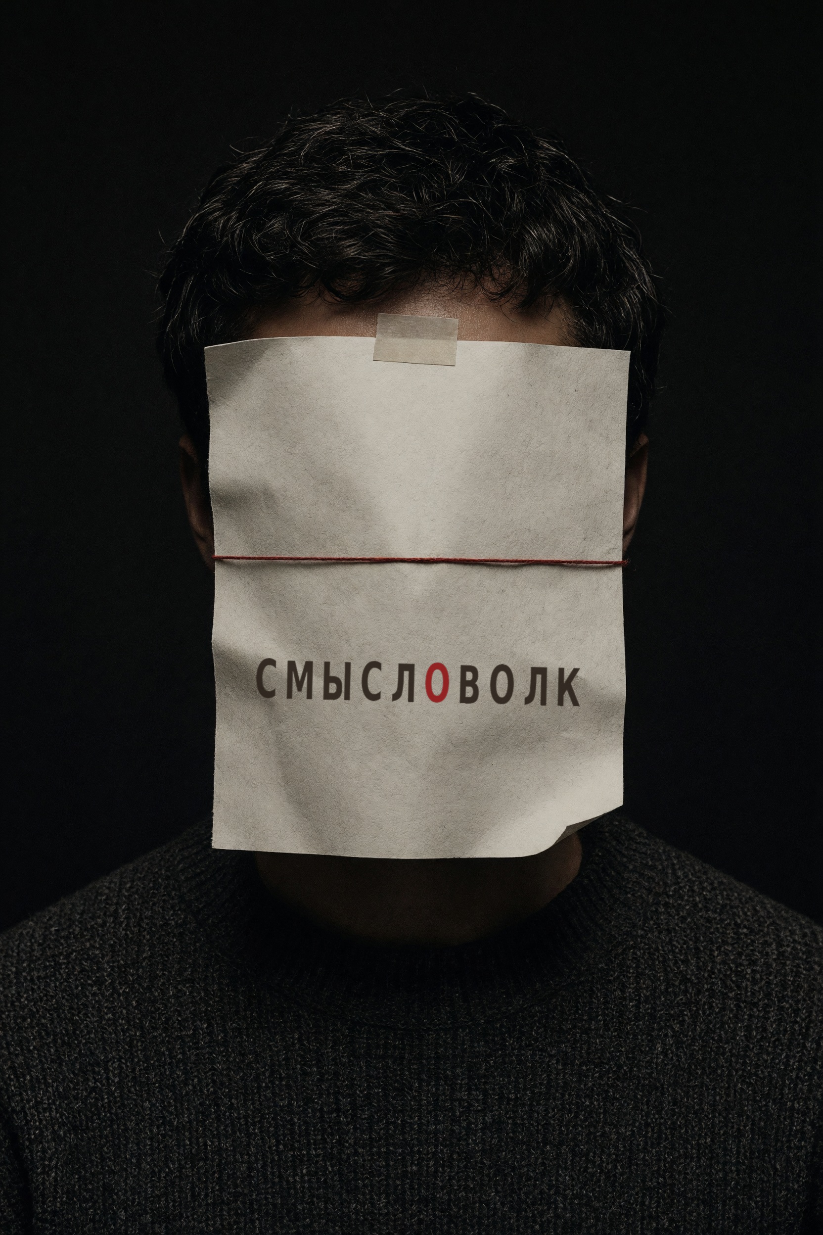 Обложка книги «Смысловолк»